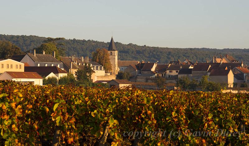 Vosne-Romanée,  Côte d'Or morning IMGP3710.jpg